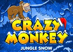 Crazy Monkey Winter